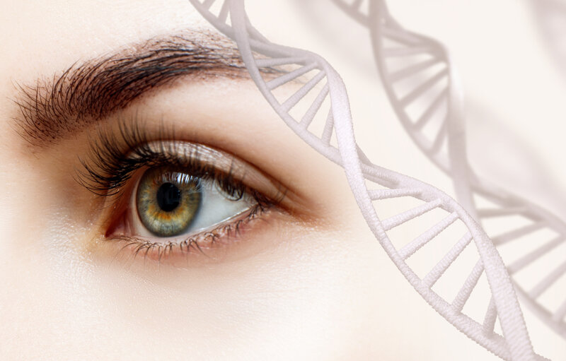 the role of genetics in eye health